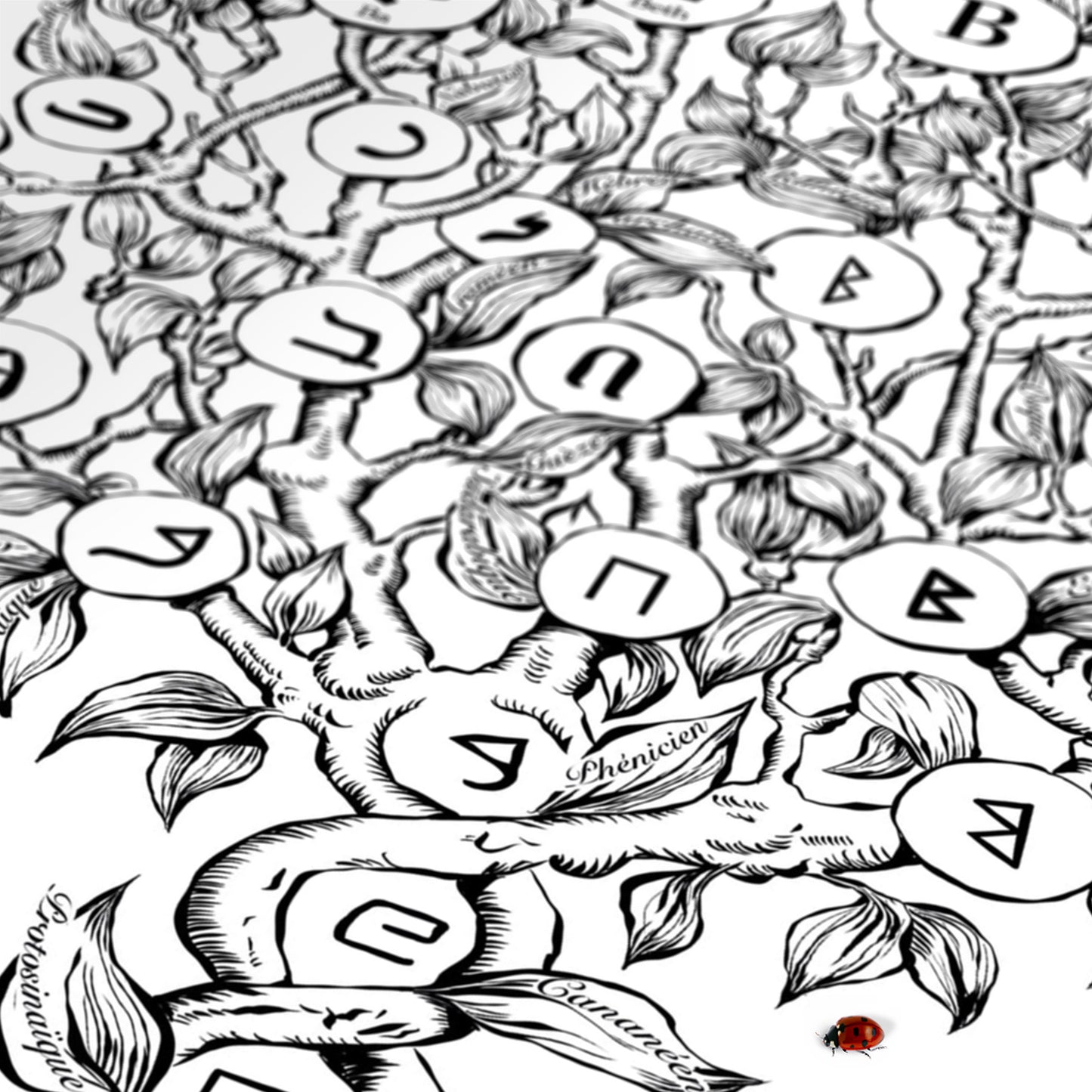 B - Le Jardin des Lettres