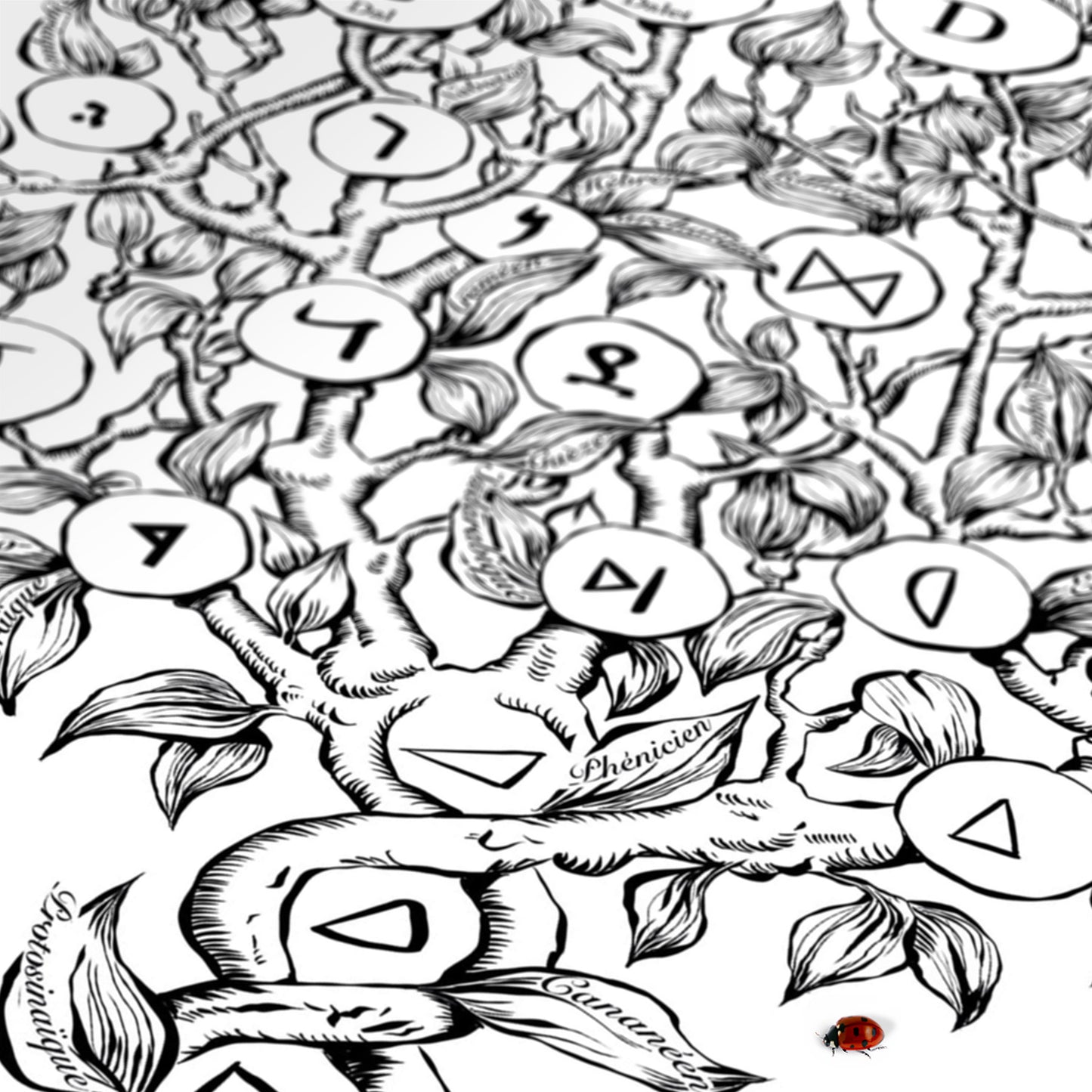 D - Le Jardin des Lettres