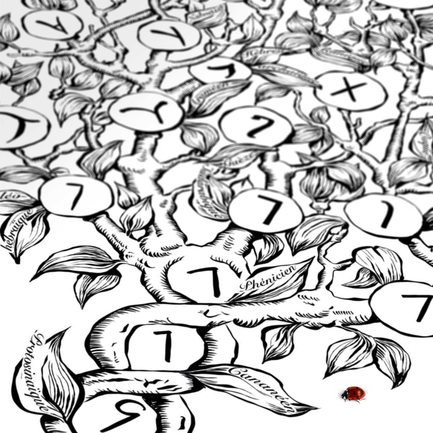 C / G - Le Jardin des Lettres