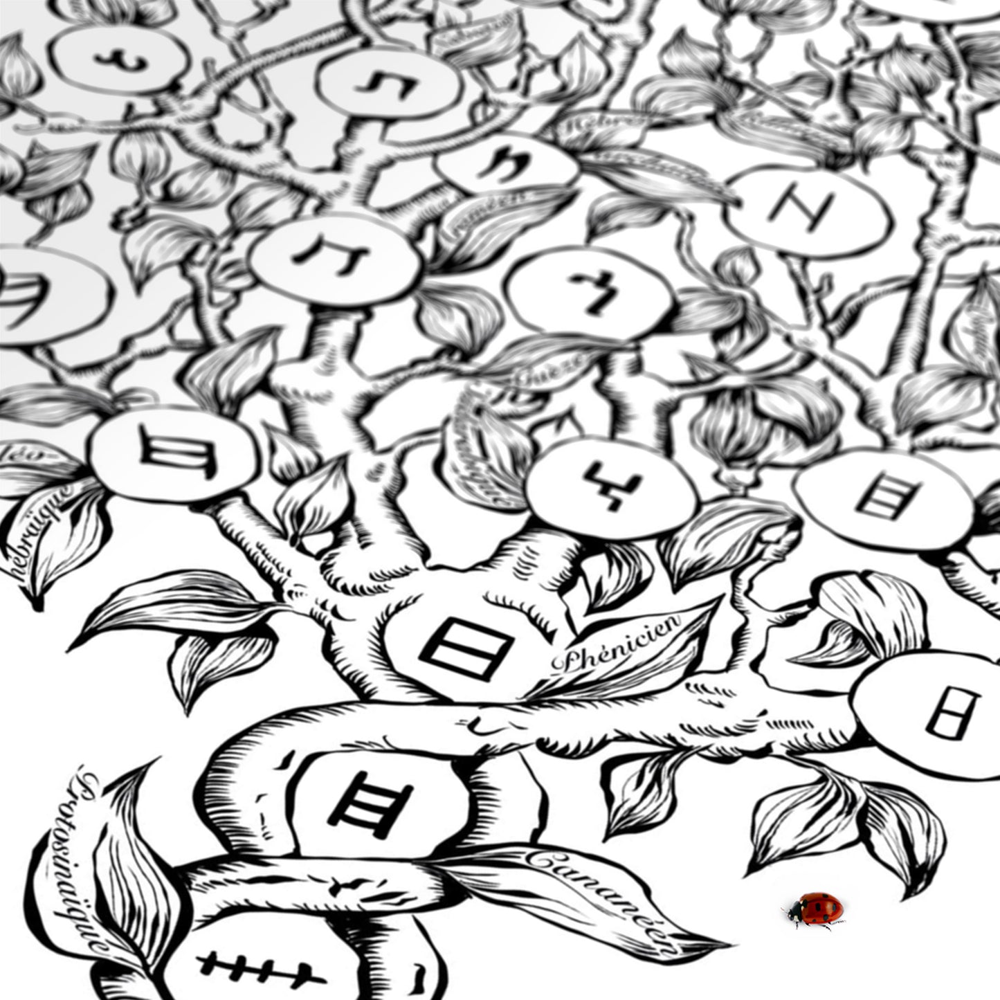 H - Le Jardin des Lettres