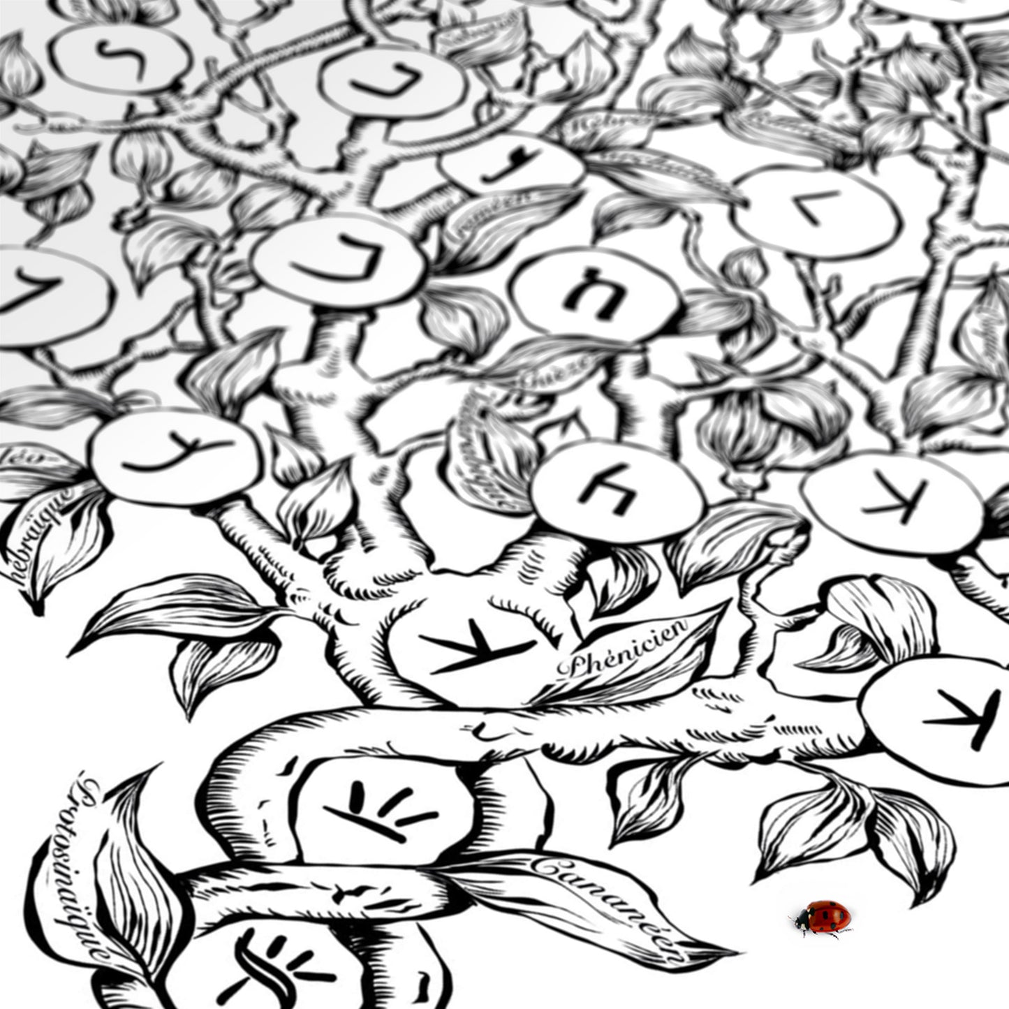 K - Le Jardin des Lettres