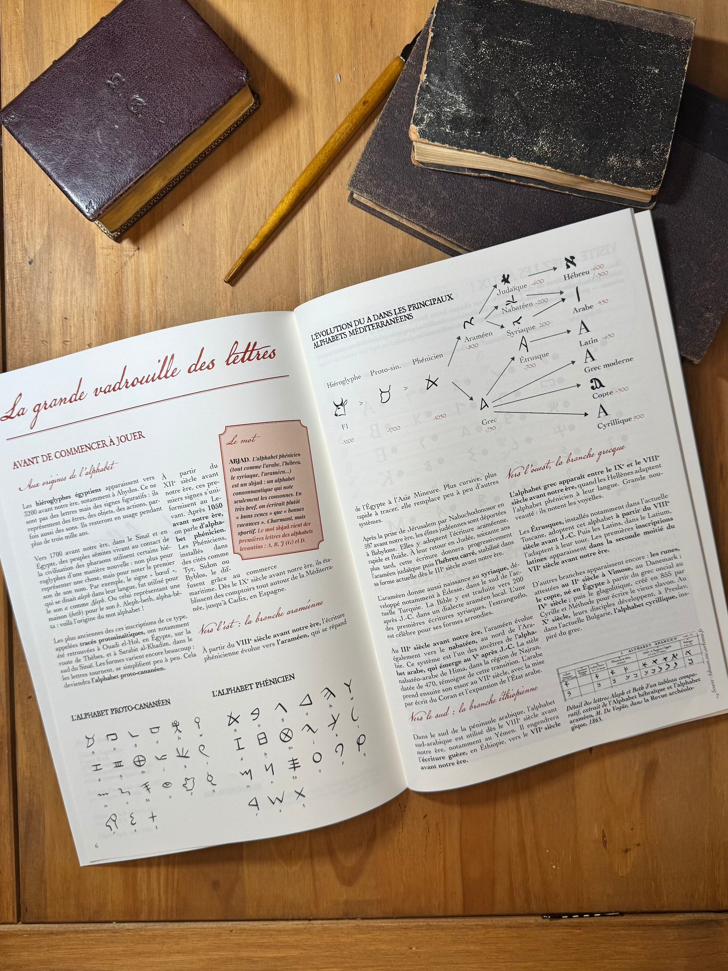 L’Été des lettres - Le cahier de vacances pour grandes personnes curieuses
