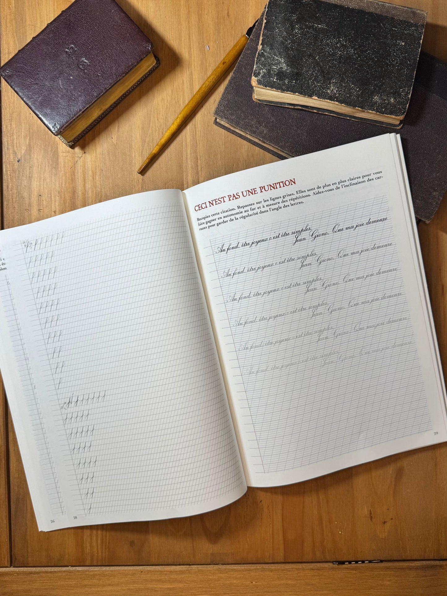 L’Été des lettres - Le cahier de vacances pour grandes personnes curieuses