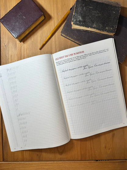 L’Été des lettres - Le cahier de vacances pour grandes personnes curieuses