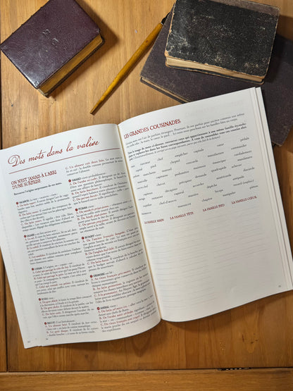 L’Été des lettres - Le cahier de vacances pour grandes personnes curieuses