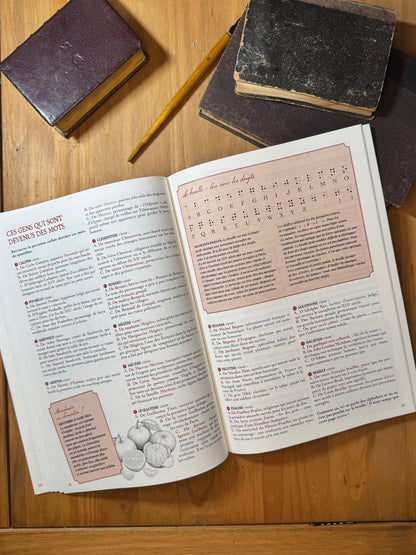 L’Été des lettres - Le cahier de vacances pour grandes personnes curieuses